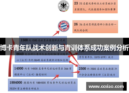 博卡青年队战术创新与青训体系成功案例分析