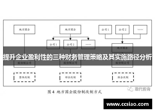 提升企业盈利性的三种财务管理策略及其实施路径分析