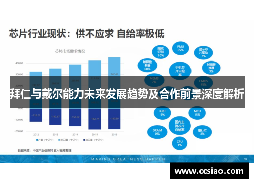 拜仁与戴尔能力未来发展趋势及合作前景深度解析