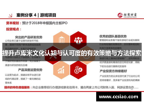 提升卢库米文化认知与认可度的有效策略与方法探索