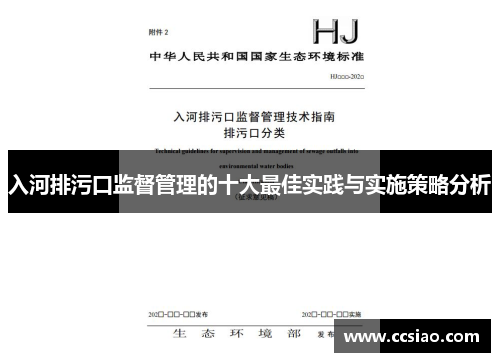 入河排污口监督管理的十大最佳实践与实施策略分析