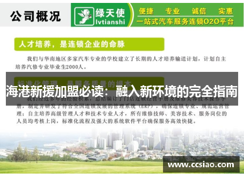 海港新援加盟必读：融入新环境的完全指南