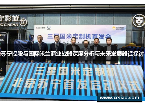 苏宁控股与国际米兰商业战略深度分析与未来发展路径探讨